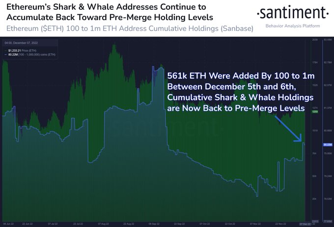 Ethereum Whales And Sharks