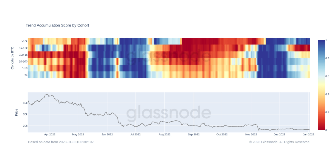 Bitcoin Accumulation Trend Score by Cohort