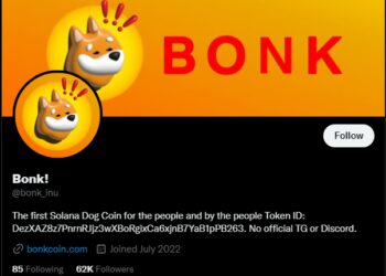 BONK Goes Bonkers With Over 200% Increase In Last 24 Hours