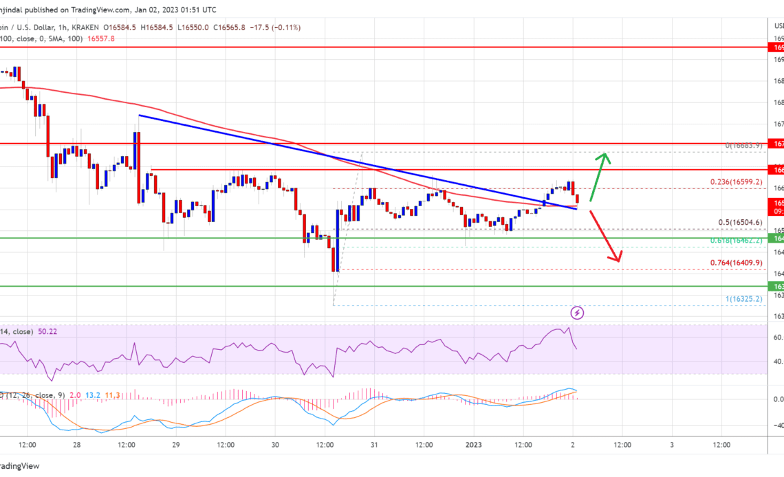 Bitcoin Price