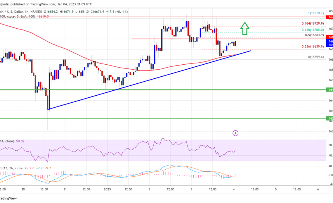 Bitcoin Price