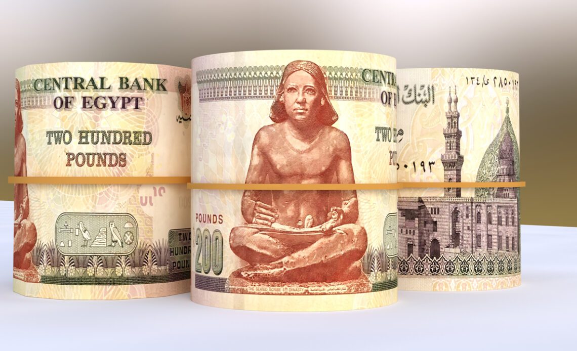 Egyptian Pound Reaches New Low Against US Dollar Despite Flexible Exchange Rate Regime – Africa Bitcoin News