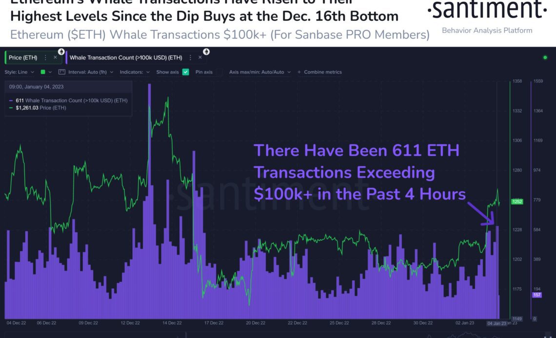 Ethereum Whale Transactions