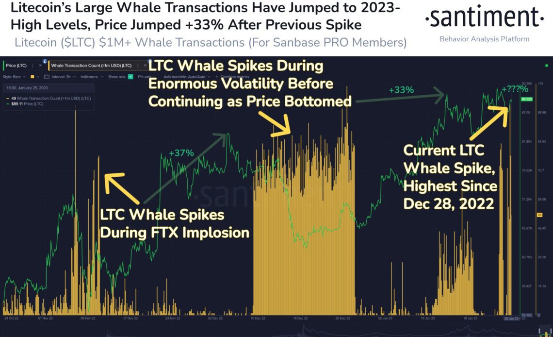 Litecoin Whale Transactions