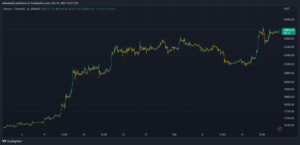 BTC USD TYD