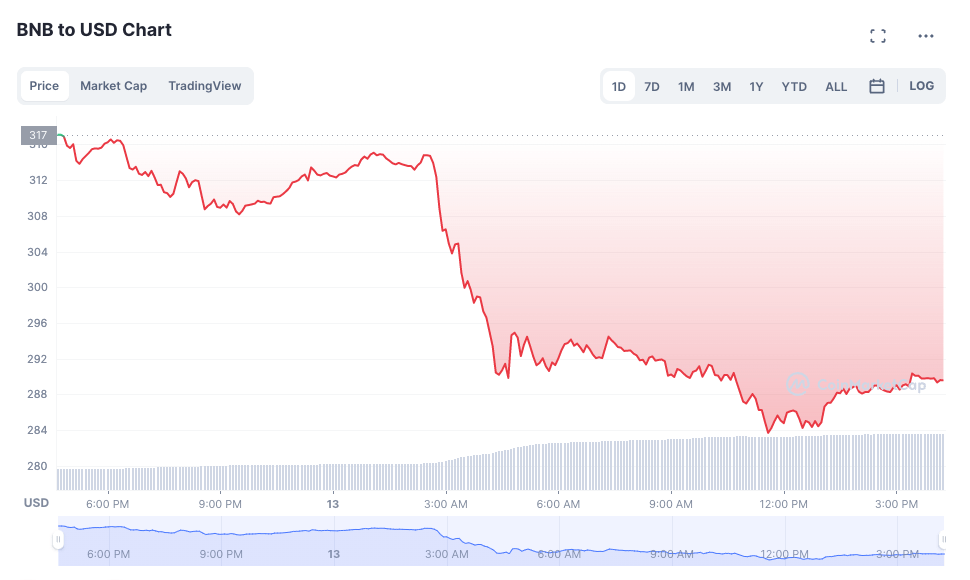 BNB Token Price Tumbles More Than 9% on Feb. 13 (Source Coin Market Cap)