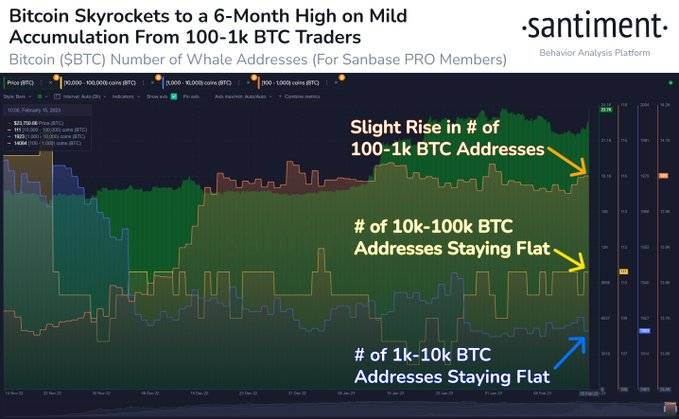 Bitcoin Whale Abruptly Moves Over $135,000,000 in BTC – Here’s Where the Crypto Is Headed