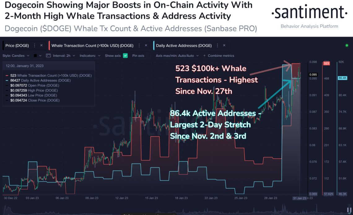 Dogecoin Whale Transactions Hit 2023 High Amid Rival Shiba Inu’s 40% Year-to-Date Surge: Santiment