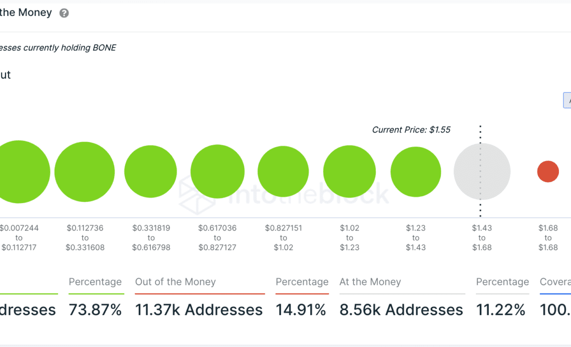 Traders Who Pounced on Shiba Inu-Related Altcoin Are Significantly Outperforming Investors in SHIB: IntoTheBlock