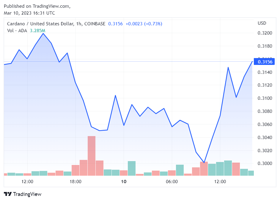 Cardano Price Performance