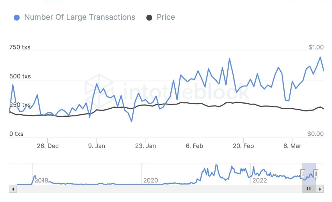 Cardano Whale Transactions on the Rise As the Ethereum Competitor Continues To Dominate Development Activity