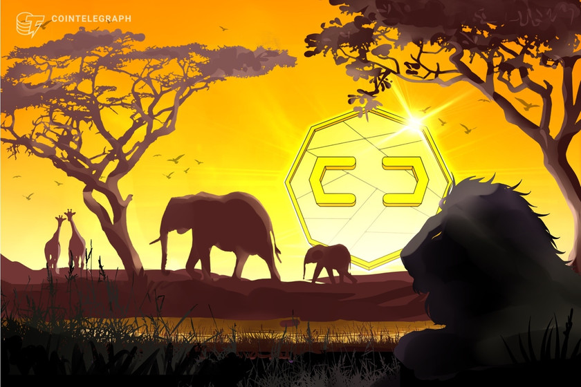 Central African Republic's Sango Project announces delay of token listing