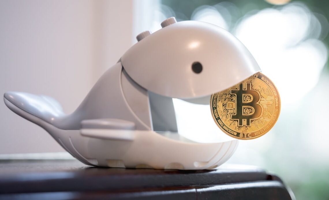 Bitcoin Whale Transfers $13 Million Worth of Dormant Coins Dating Back to 2012 and 2013
