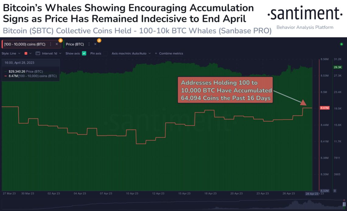 Bitcoin Whales Quietly Accumulate $1,875,819,869 in Crypto in Just 18 Days: Santiment