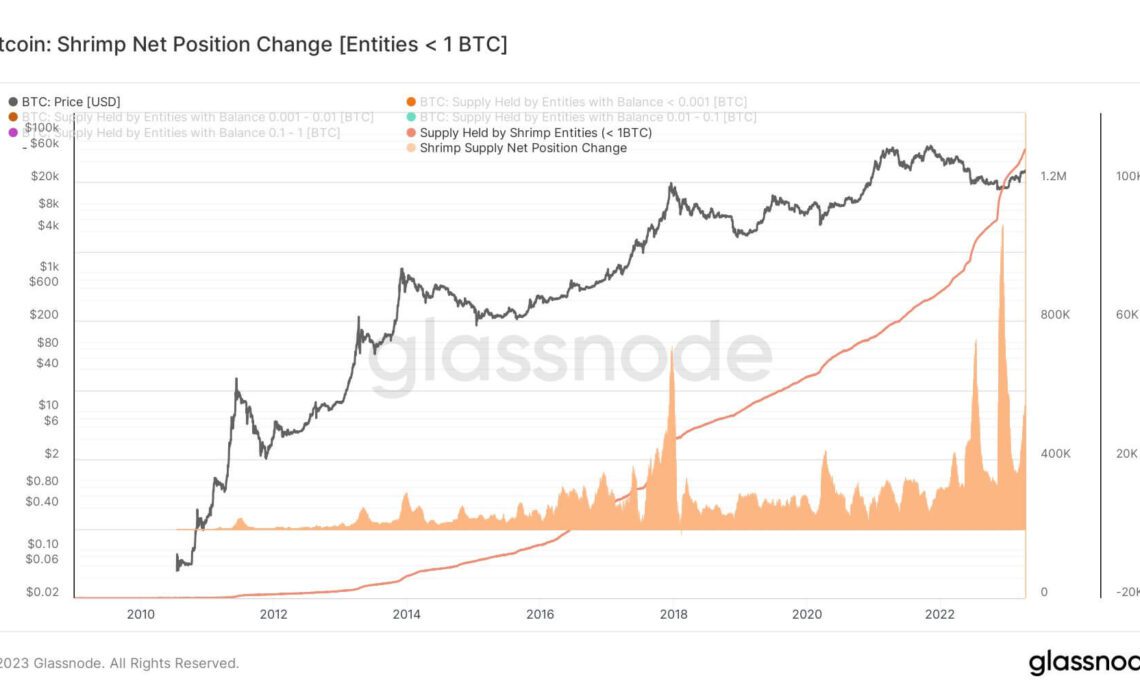 Bitcoin Shrimps Accumulation