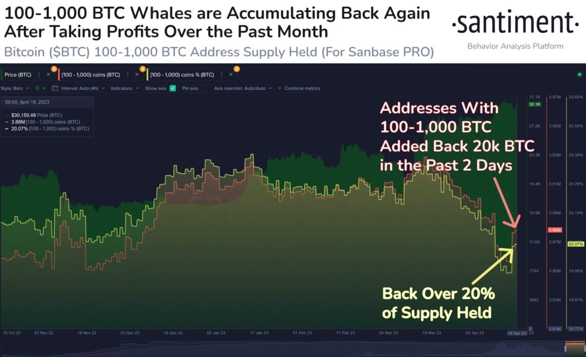 Bitcoin whales