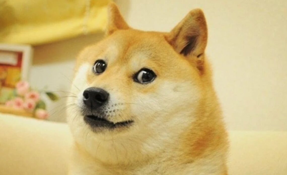 Twitter Changes Bird Logo to Picture of Doge, Dogecoin Price Surges 20% After the Change