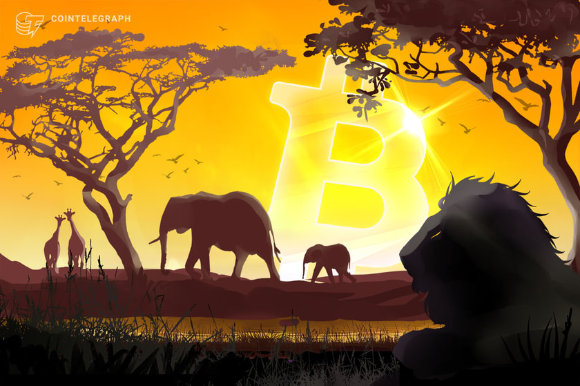 Central African Republic gets IMF optimism a year into Bitcoin adoption