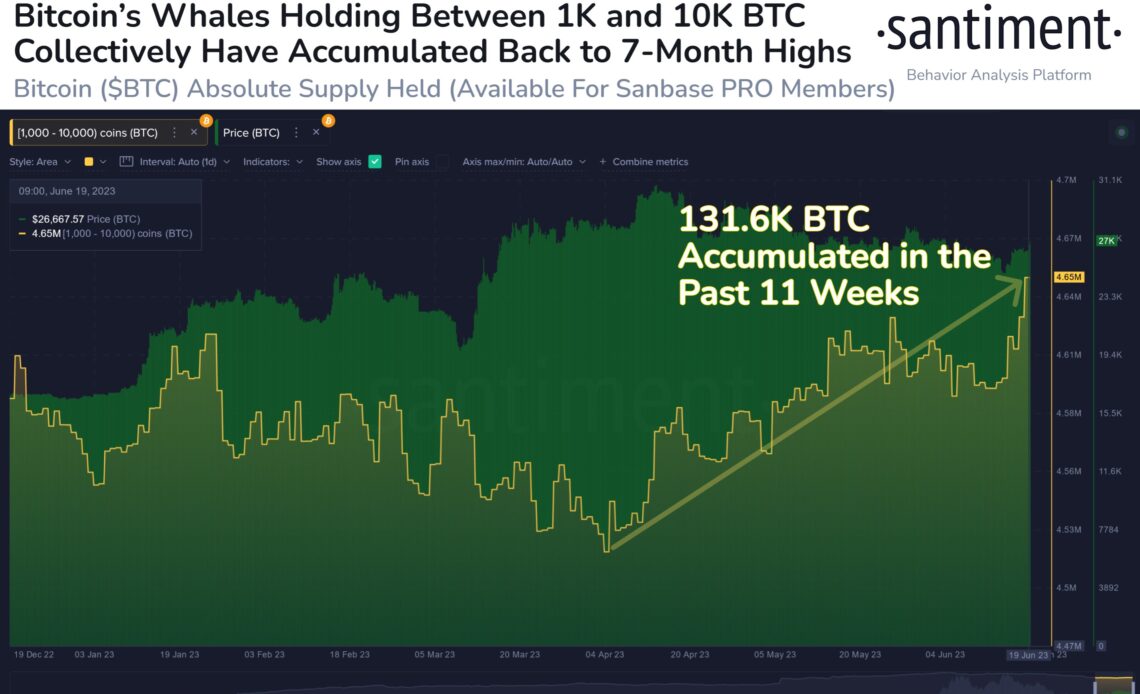 Bitcoin Whales Accumulate $3,500,000,000 in BTC As Wallet Balances Hit Seven-Month High: Santiment