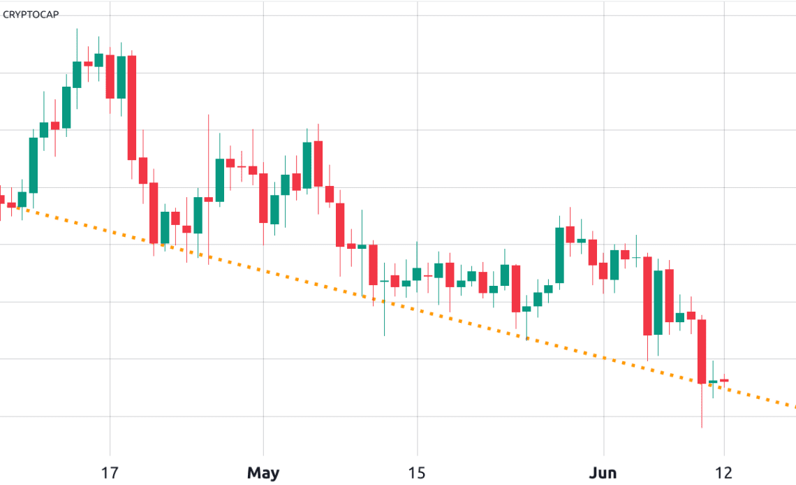 Bitcoin and select altcoins show resilience even as the crypto market sell-off continues