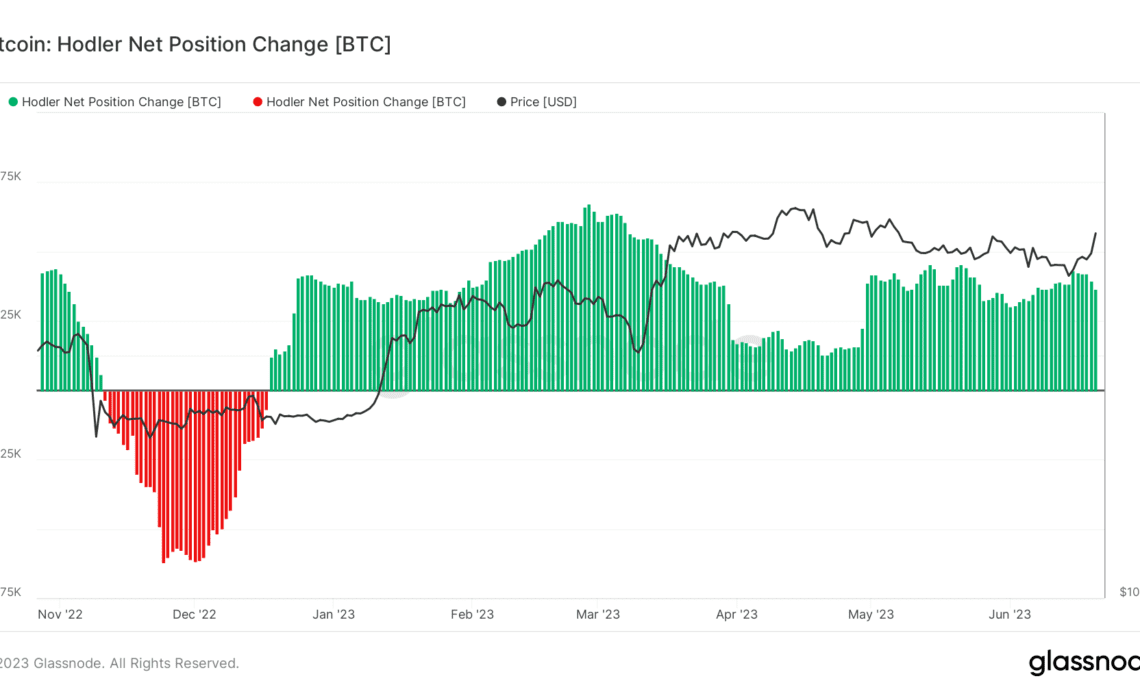 bitcoin hodler net position change