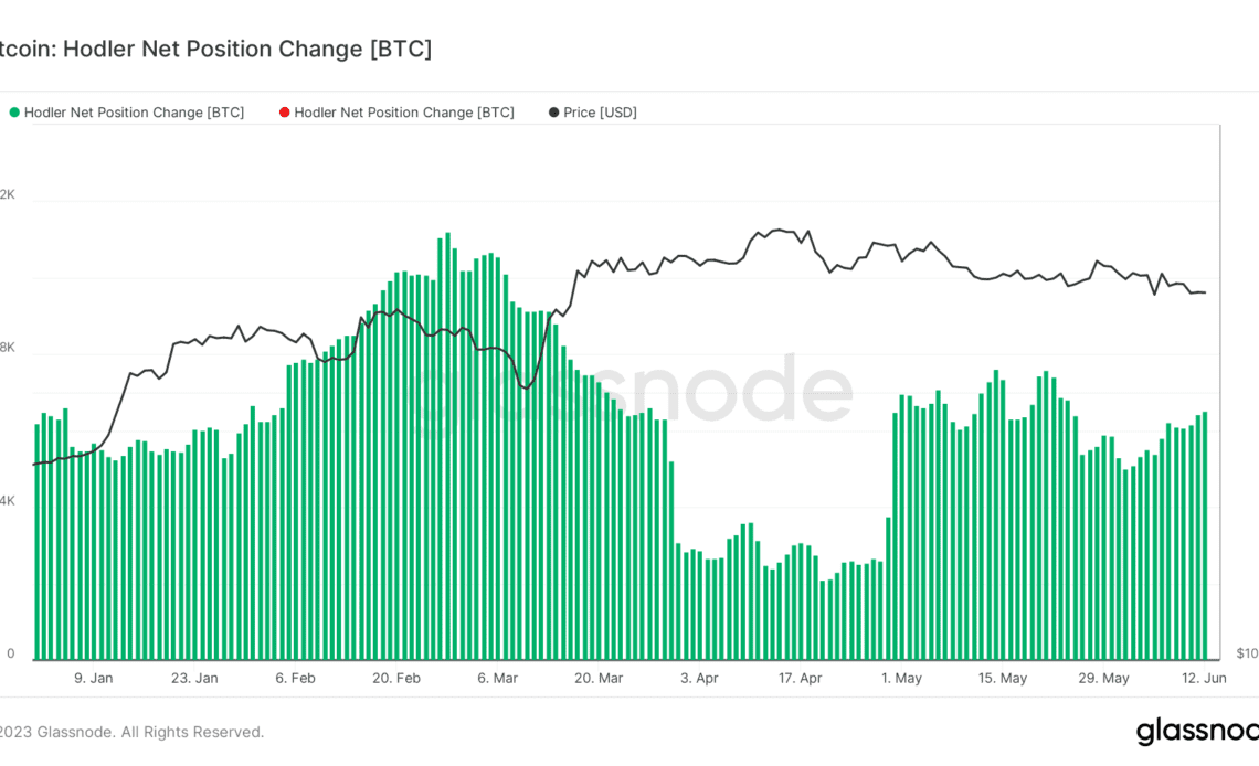 hodlers net position change