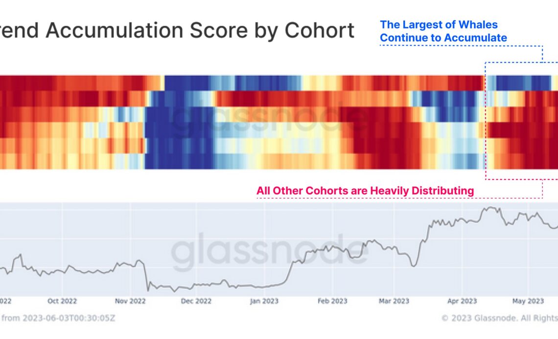 Largest Bitcoin Whales ‘Aggressively’ Accumulating BTC, Says Analytics Firm Glassnode – But There’s a Catch