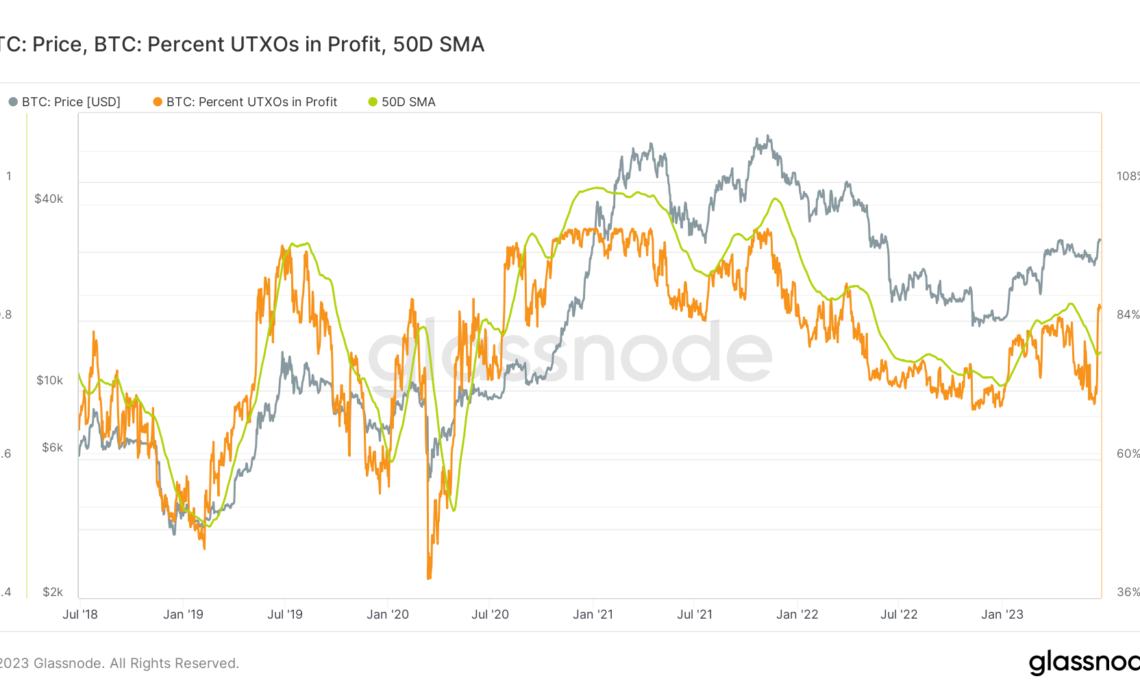 btc utxos in profit 5y