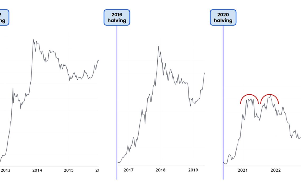 Bitcoin Halving Cycles