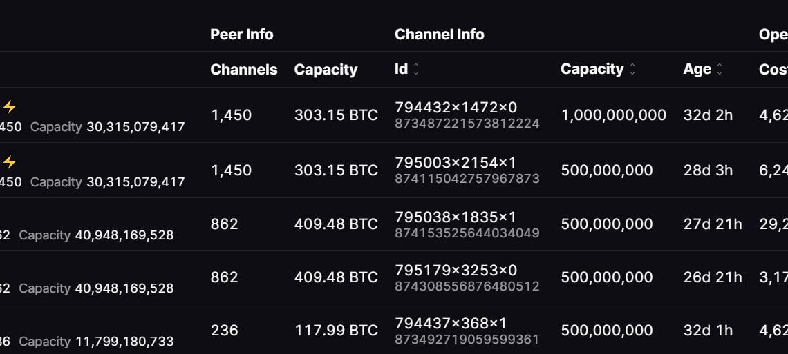 Binance Bitcoin Lightning Peers