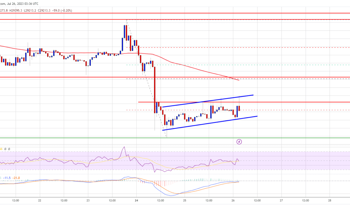 Bitcoin Price