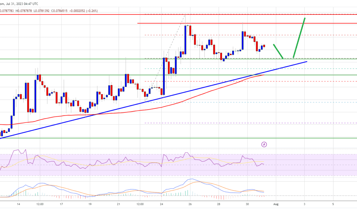 Dogecoin Price (DOGE)