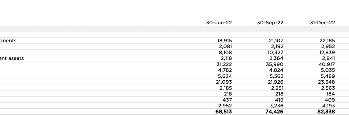 EV maker's Bitcoin holdings see no change in Q2