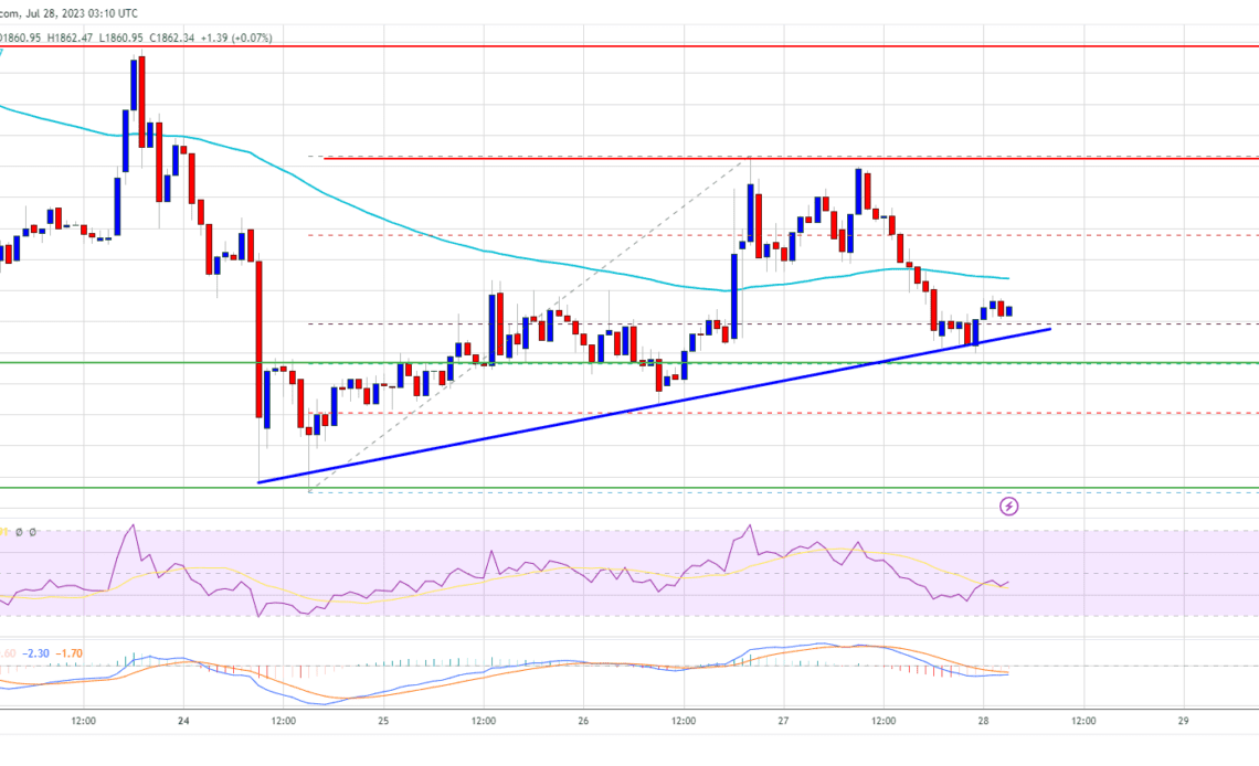 Ethereum Price