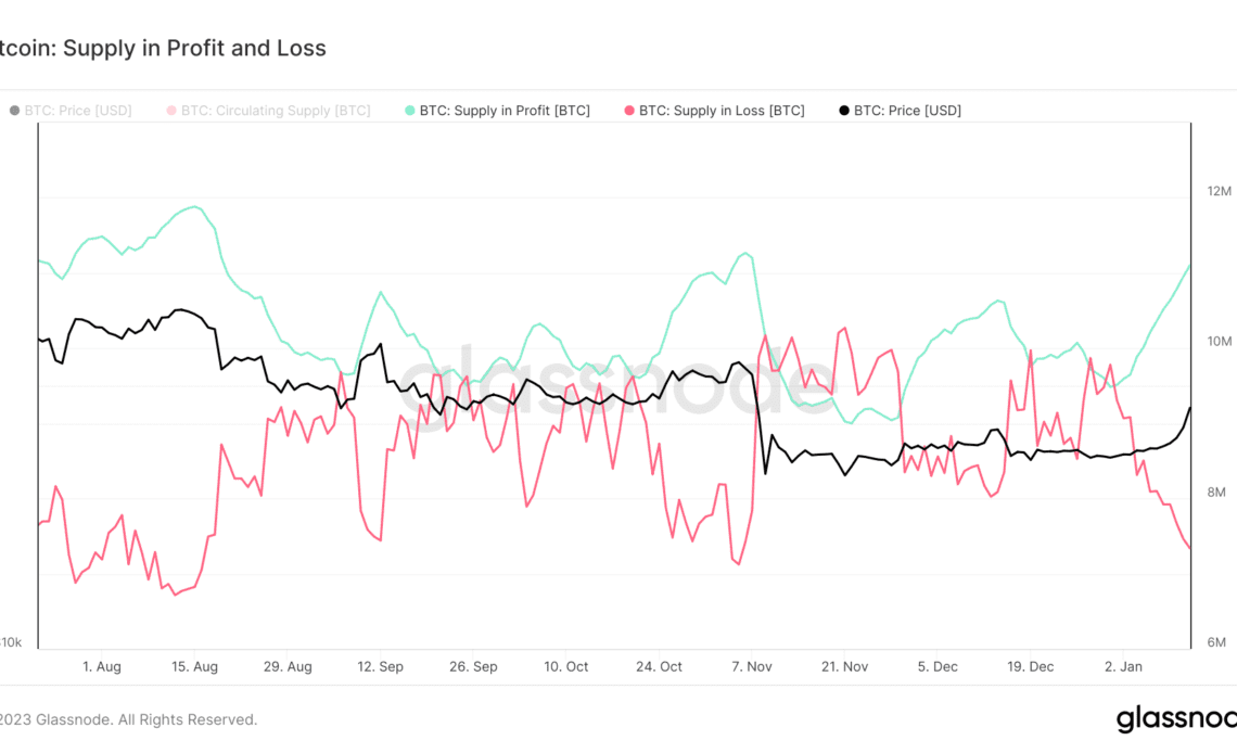 bitcoin supply profit loss 2022