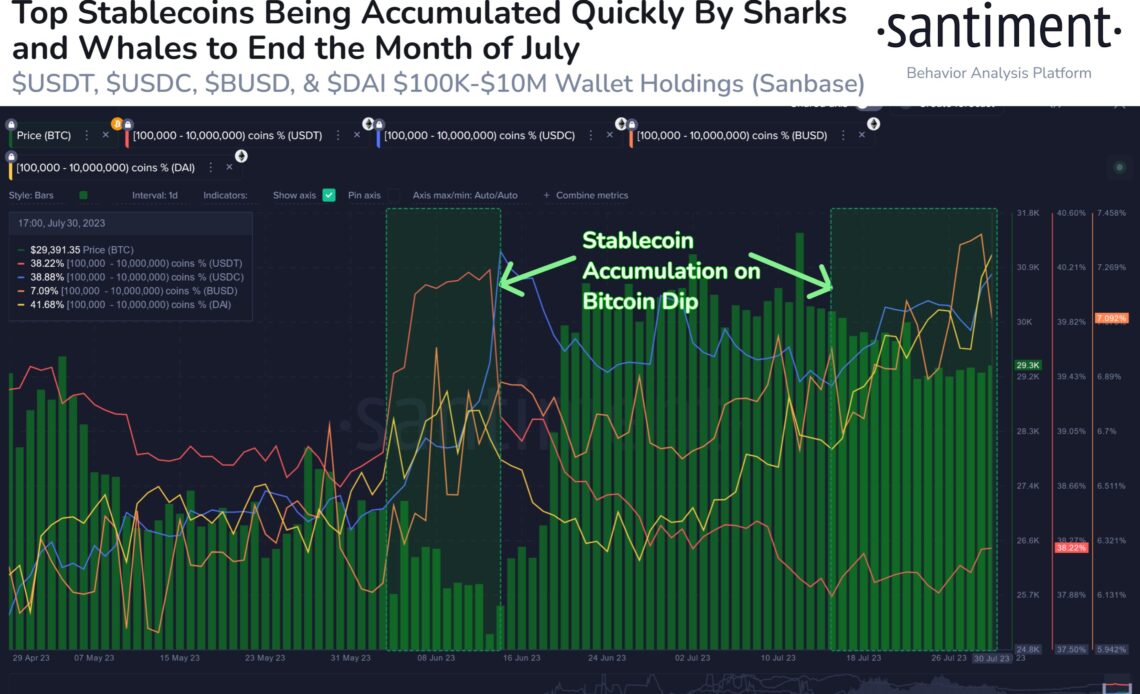 Stablecoin Sharks & Whales