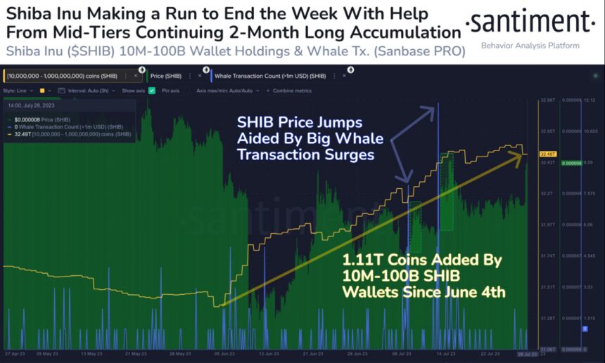 Shiba Inu Whales Boost Appetite, Snag 1T SHIB