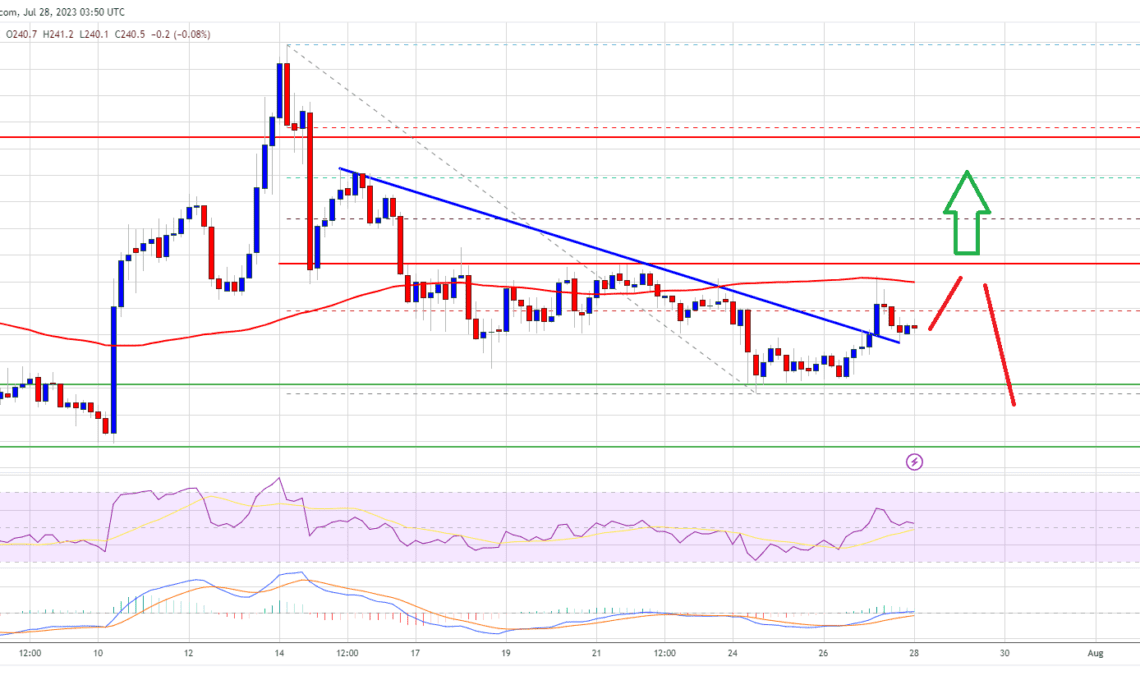 BNB Price