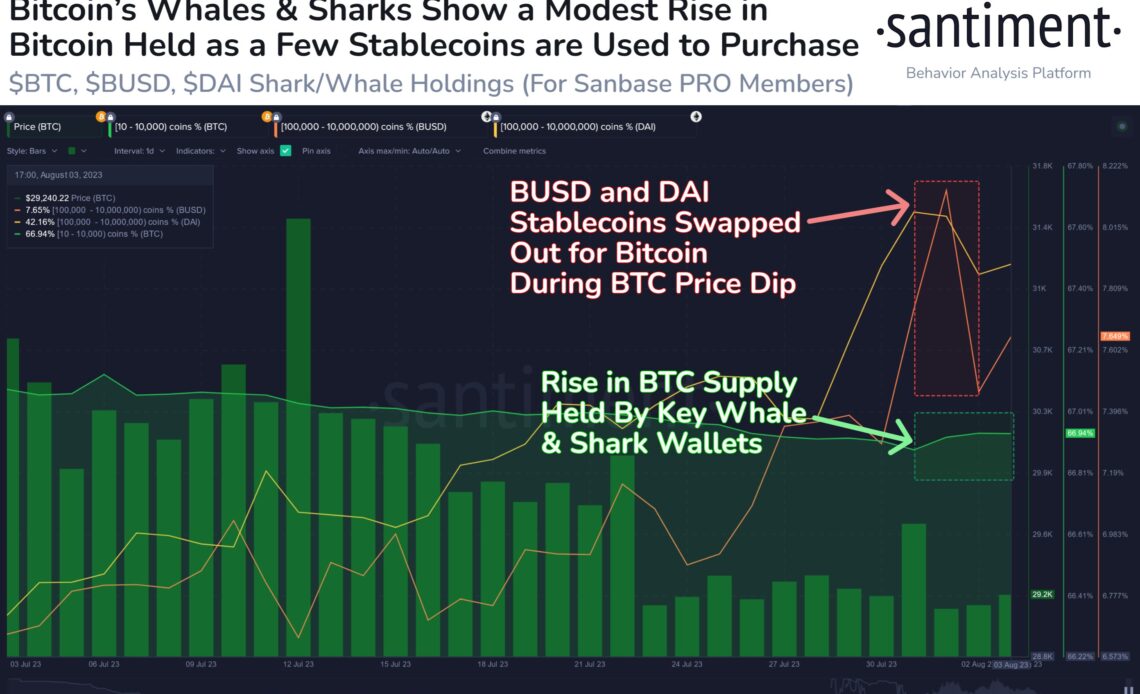 Bitcoin Could Quickly Soar to $30,000 and Beyond if Key BTC Holders Sustain Emerging Trend, Says Santiment