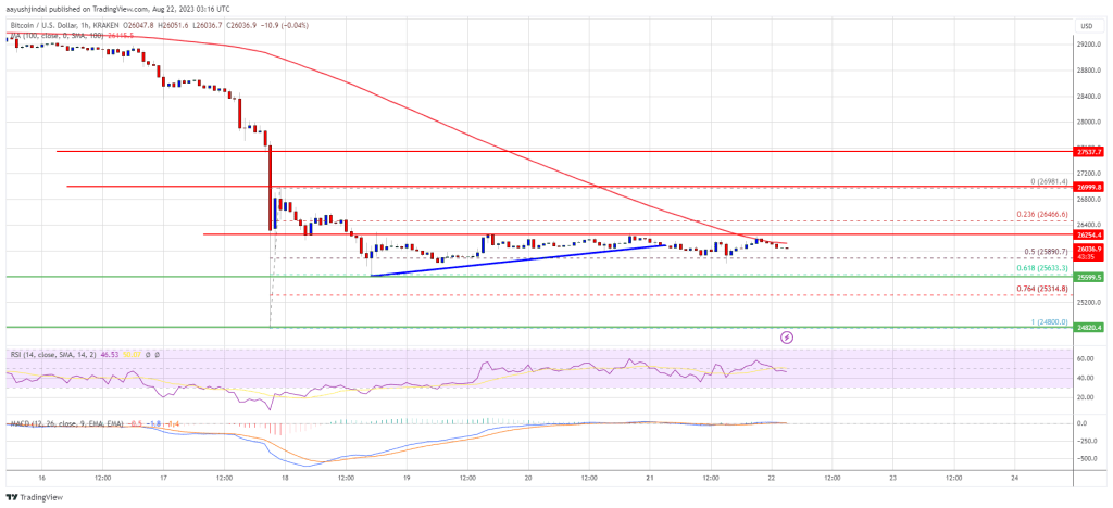 Bitcoin Price