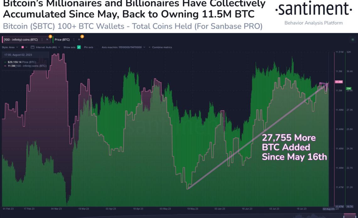 Bitcoin Whales Splurge Over $750,000,000 on Bitcoin in Just Three Months, Says Crypto Analytics Firm Santiment