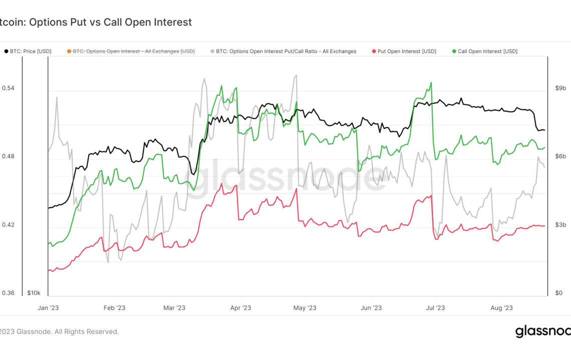 open interest options puts vs calls ytd