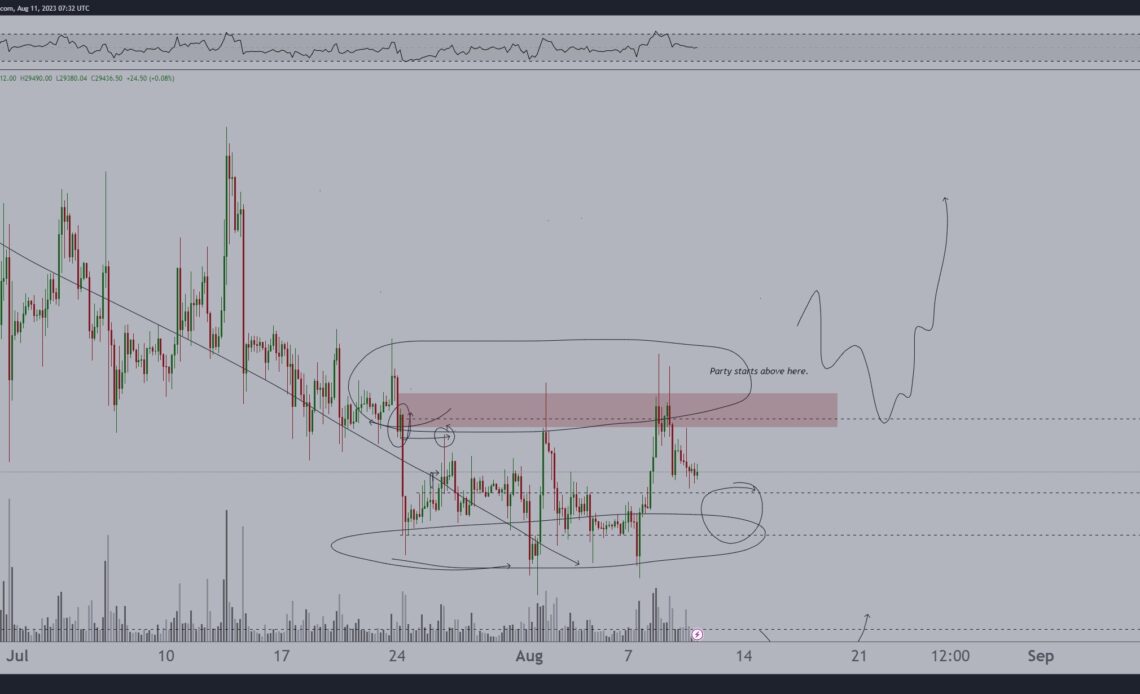 Crypto Analyst Breaks Down Bitcoin (BTC) and XRP, Doubles Down on Bull Run Prediction