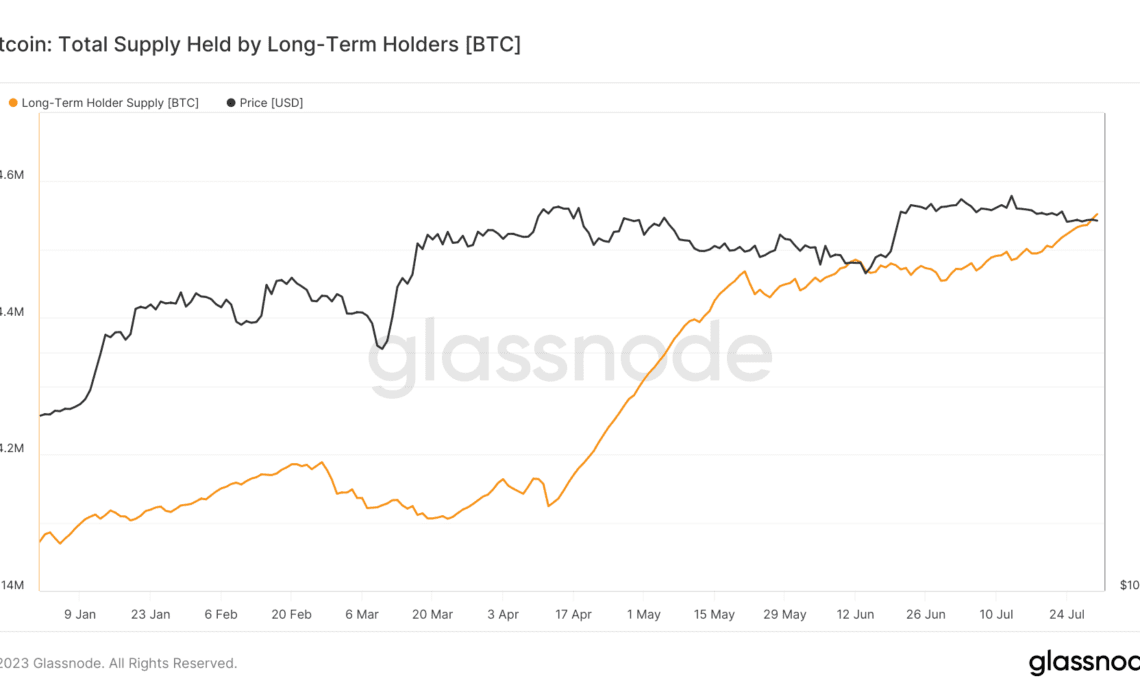 long-term holder supply ytd