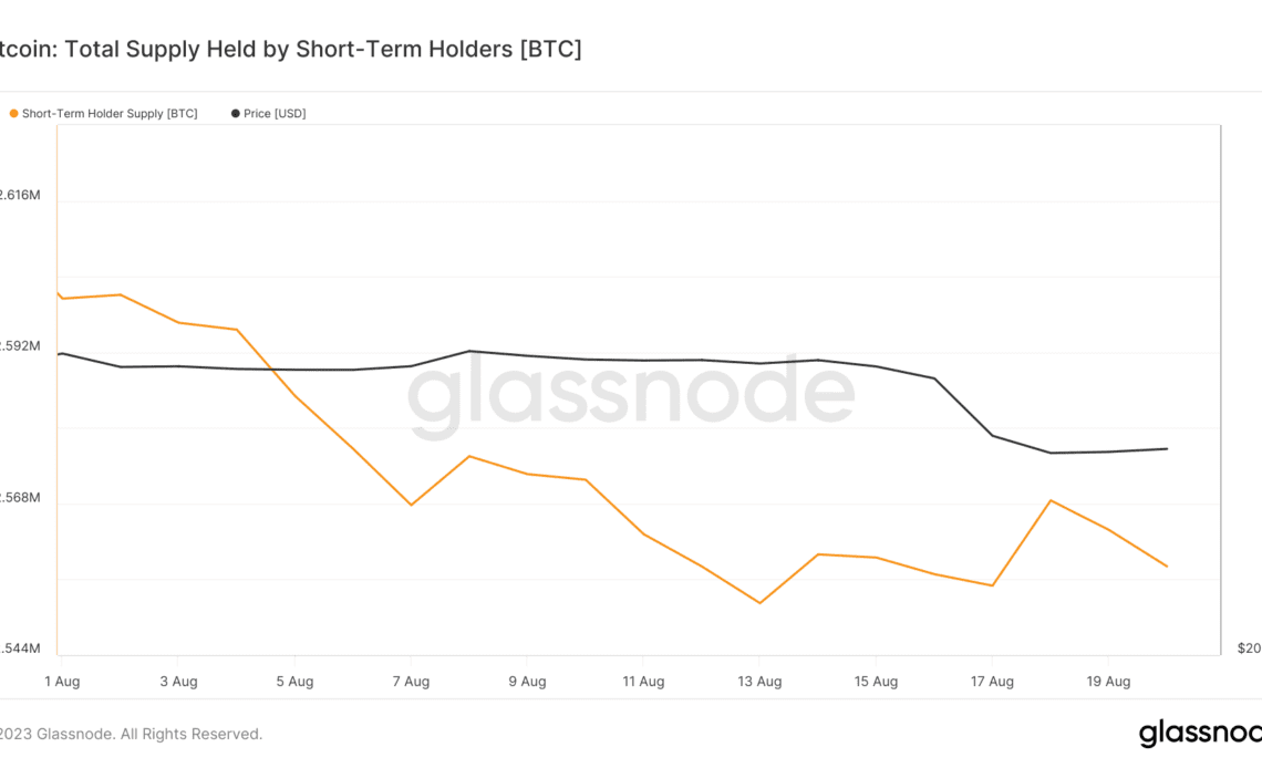 short-term holders supply august