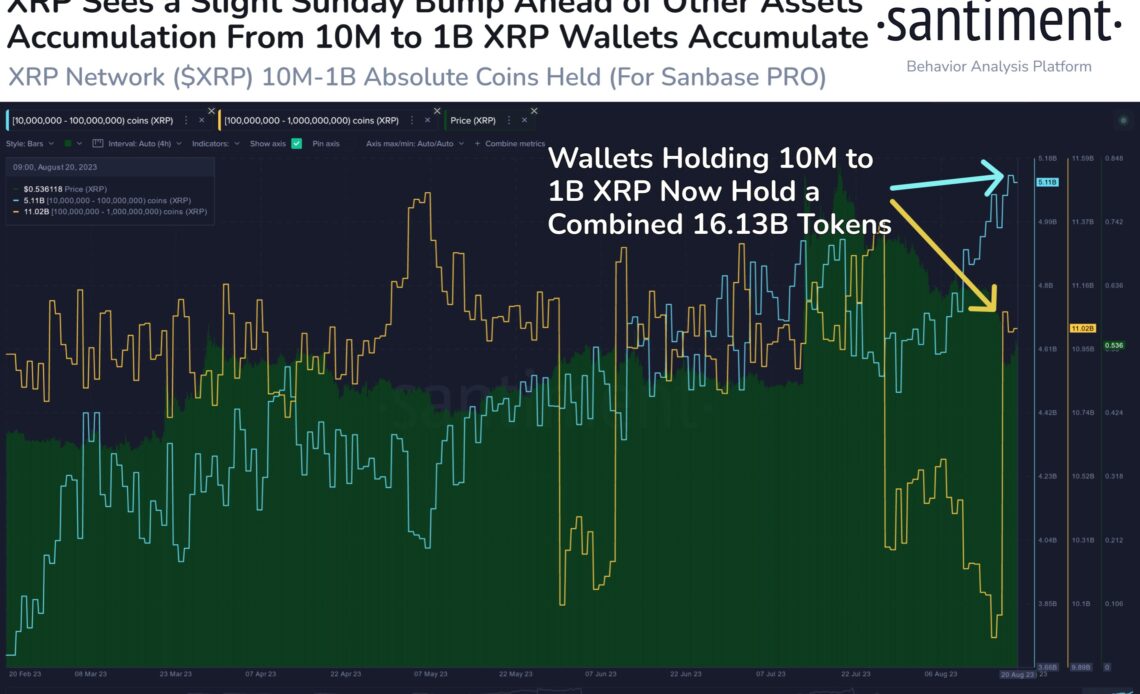 XRP Whales