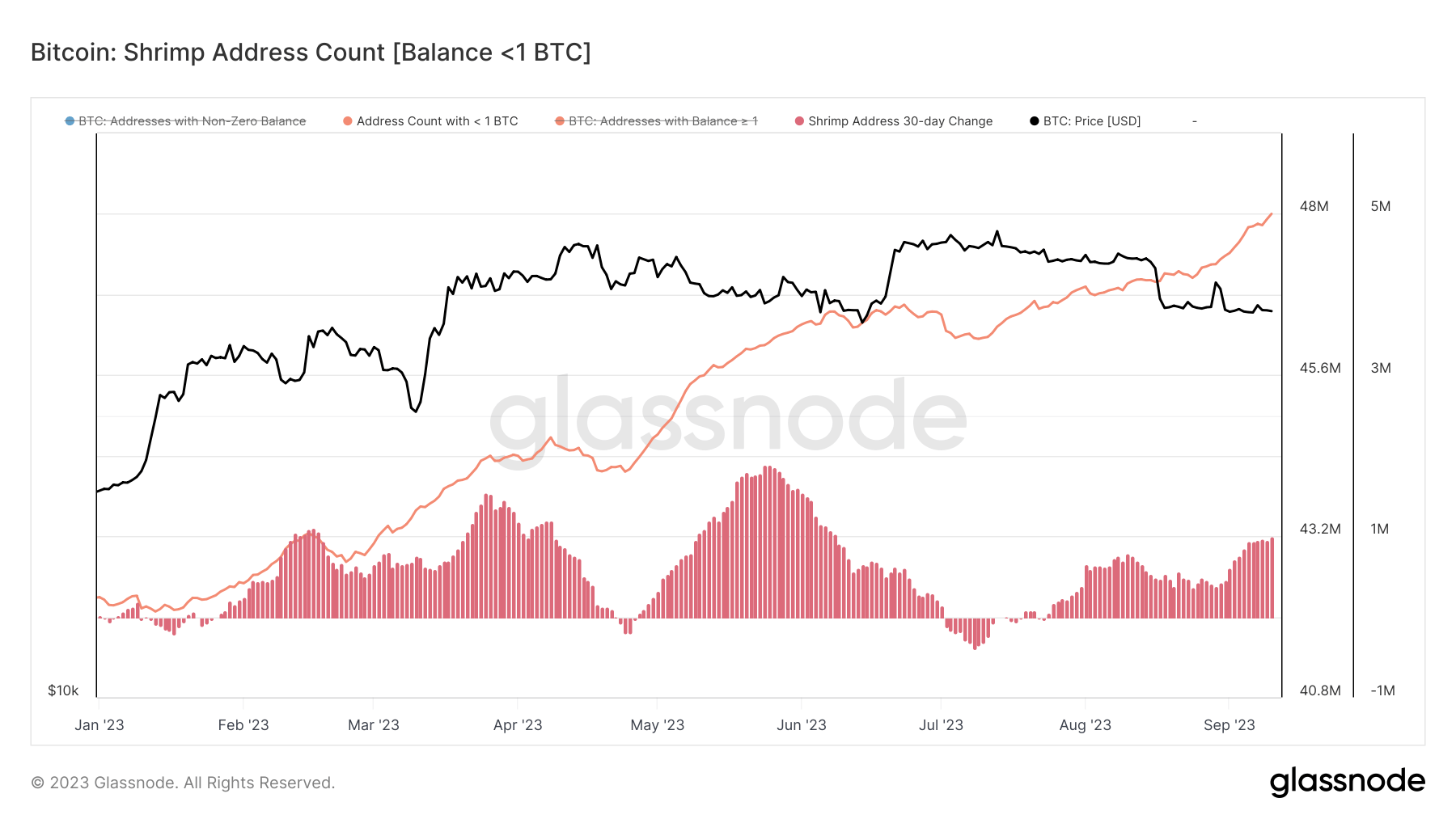 shrimp accumulation address ytd