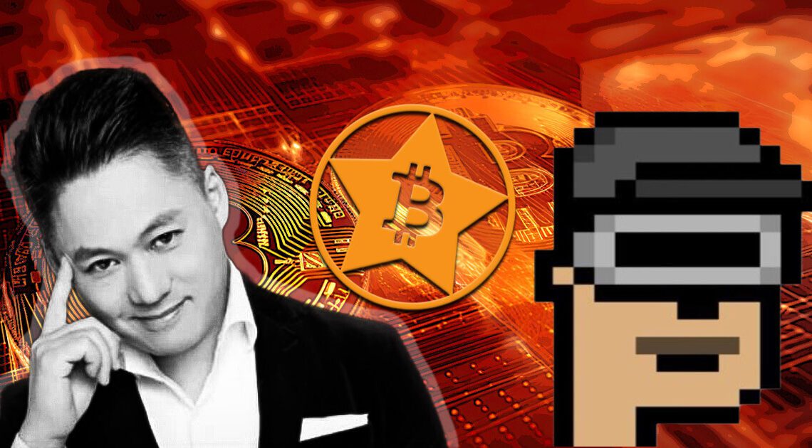 BRC-20 developer Domo praises tokens for 6% of Bitcoin activity milestone
