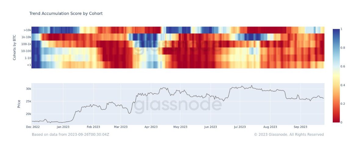 Bitcoin Trend Accumulation Score