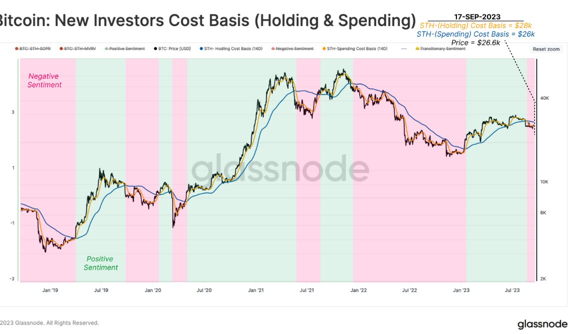 Bitcoin short-term holders 'panic' amid nearly 100% unrealized loss